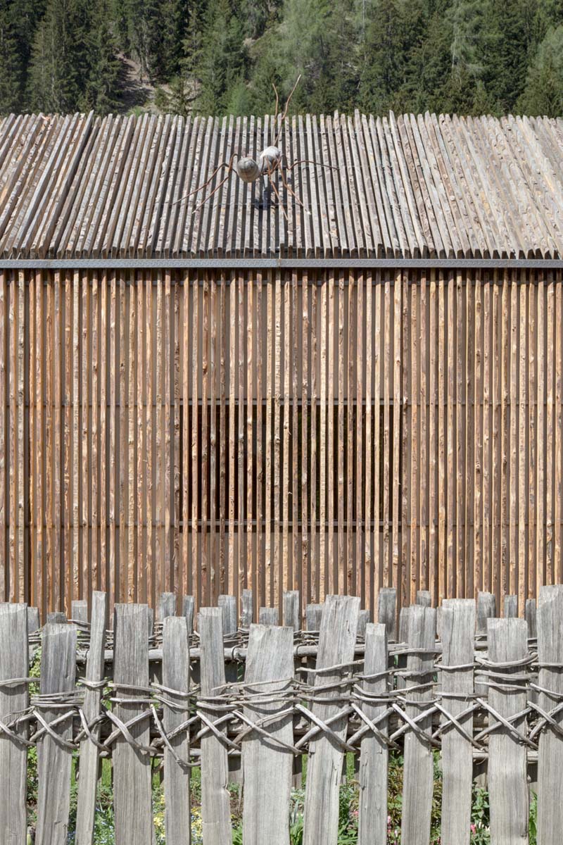 Hofladen Bauernhof Steirer Wiesen Umbau im Altbau von Andreas Gruber Architekten